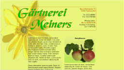 Seite ffnet sich in einem separaten Browserfenster